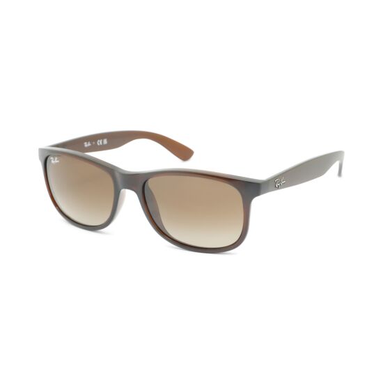 Zonnebril Ray-Ban Andy 0RB4202 607313 55 Mat Bruin